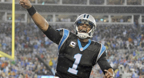 Cam Newton and the Carolina Panthers advance to the NFC Championship round